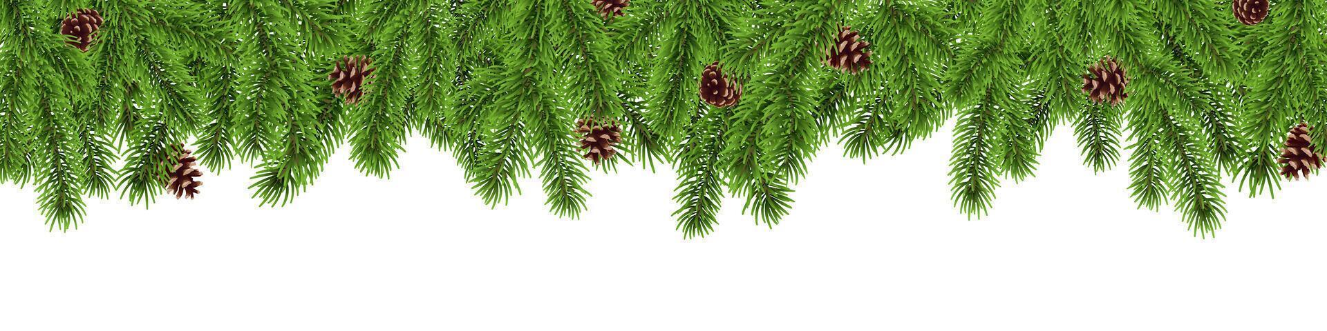 Christmas tree branch border, fir twig background, pine cone vector