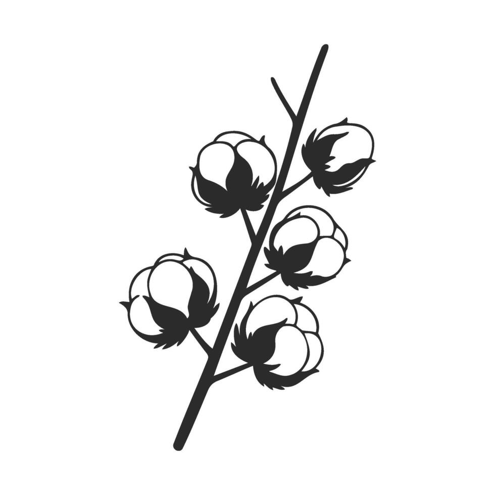 Black and white of cotton branch with bolls vector