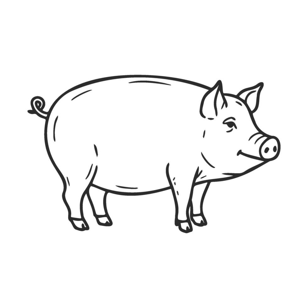 Black and white pig showing standing pig with twisted tail and detailed features vector