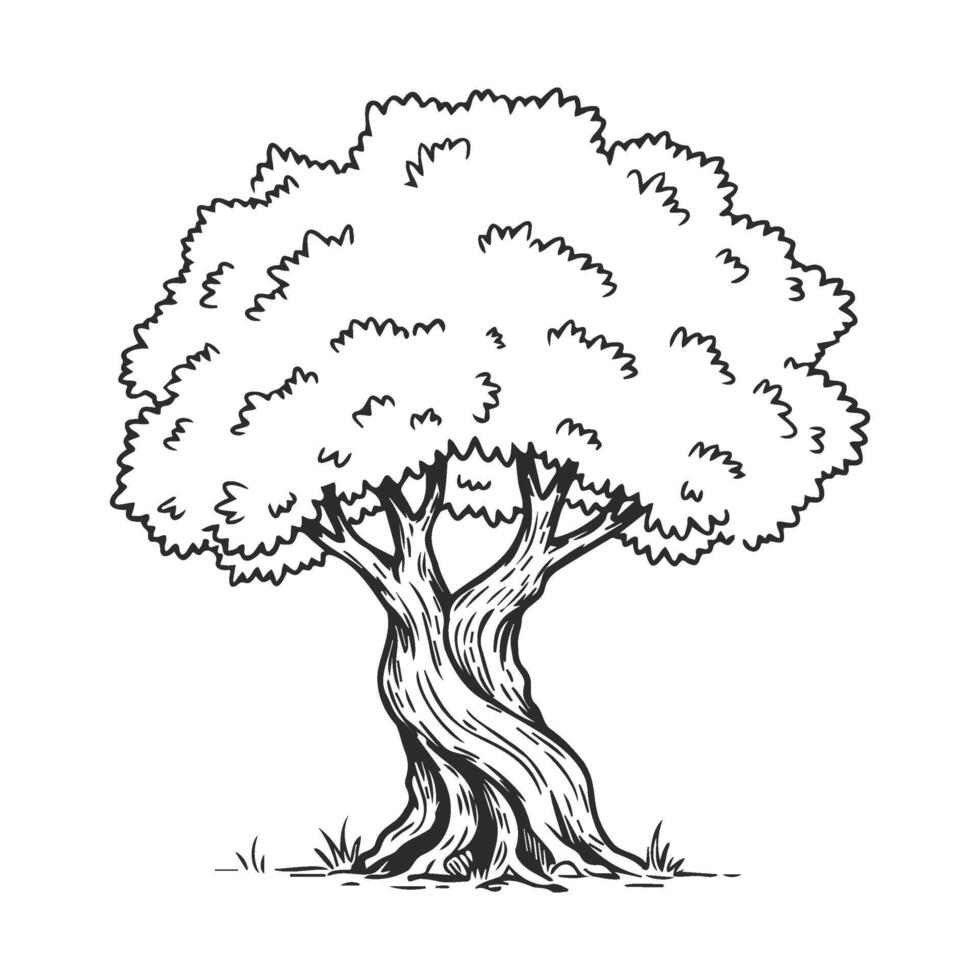 Intricate black and white line art of a stylized tree with twisted trunk vector