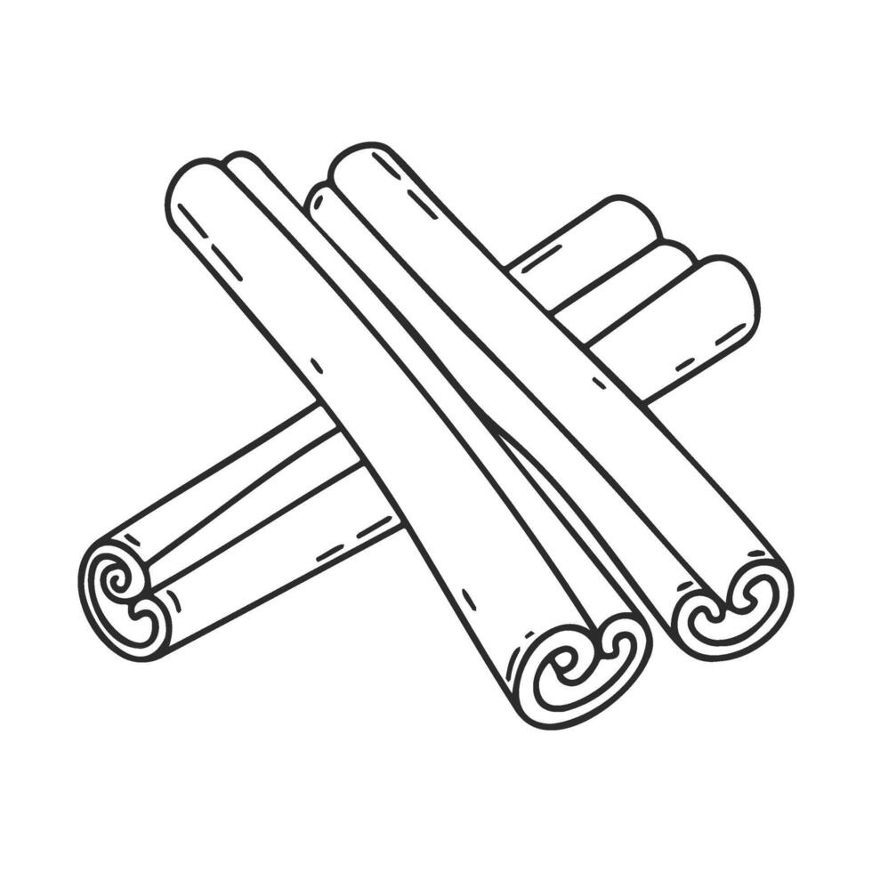 drawn cinnamon sticks on white background vector