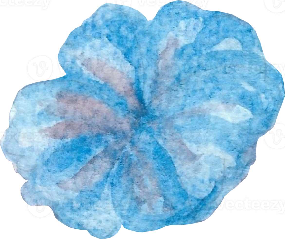 Blue flower with little pink shade in side view is painted by hands with watercolor in real fine art style png