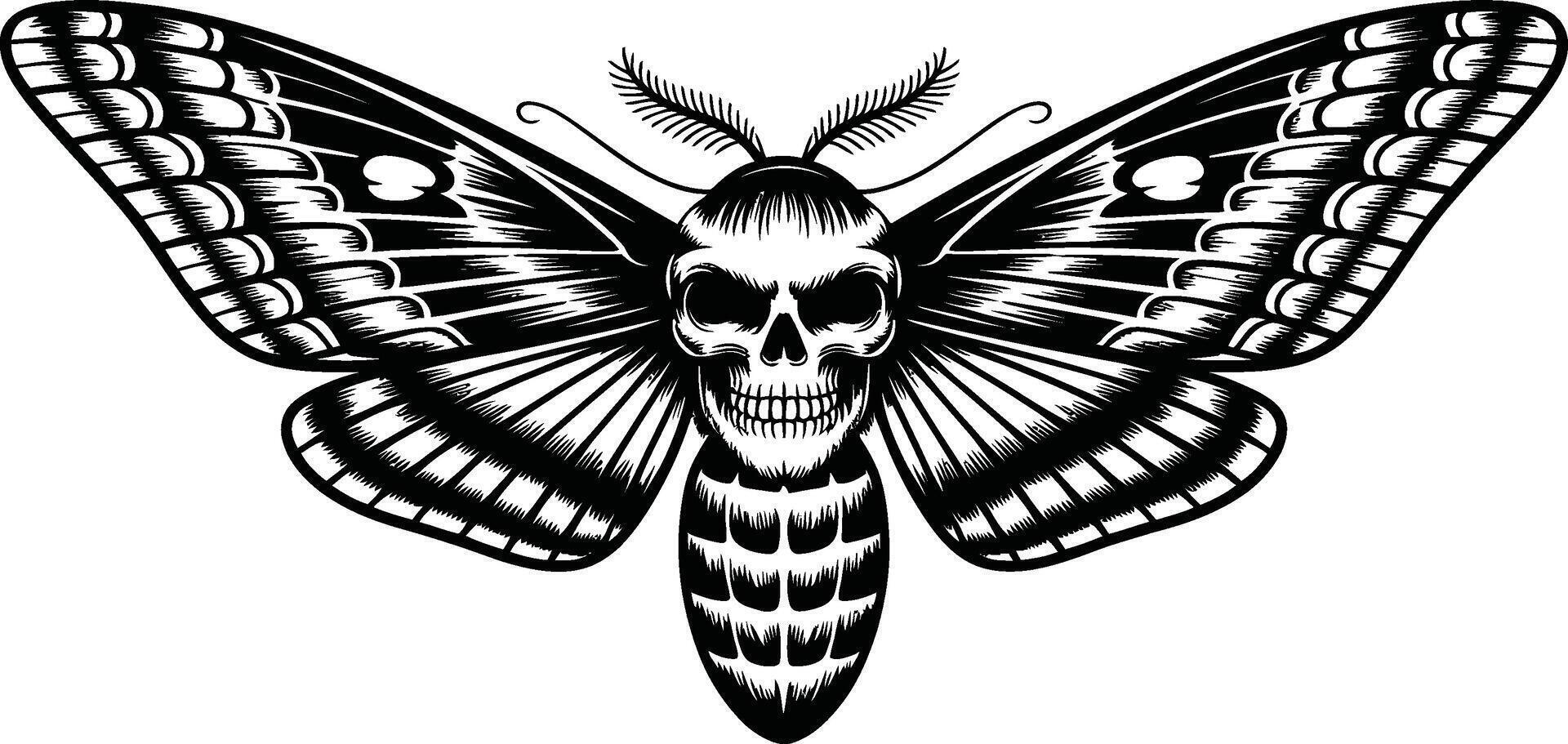 Skull faced moth with ornate wings insect death vector