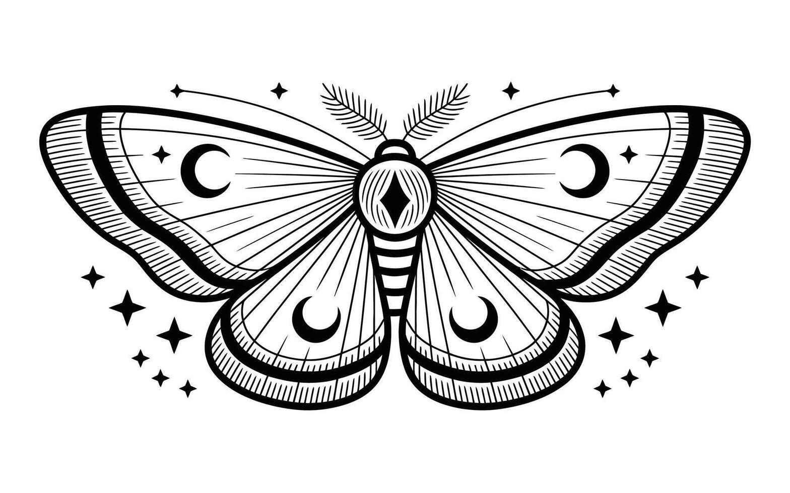 Celestial Moth with Moon and Stars Design night vector