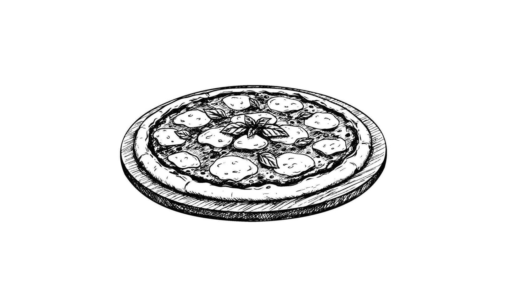 drawn pizza sketch with pepperoni mushrooms and basil on white background vector