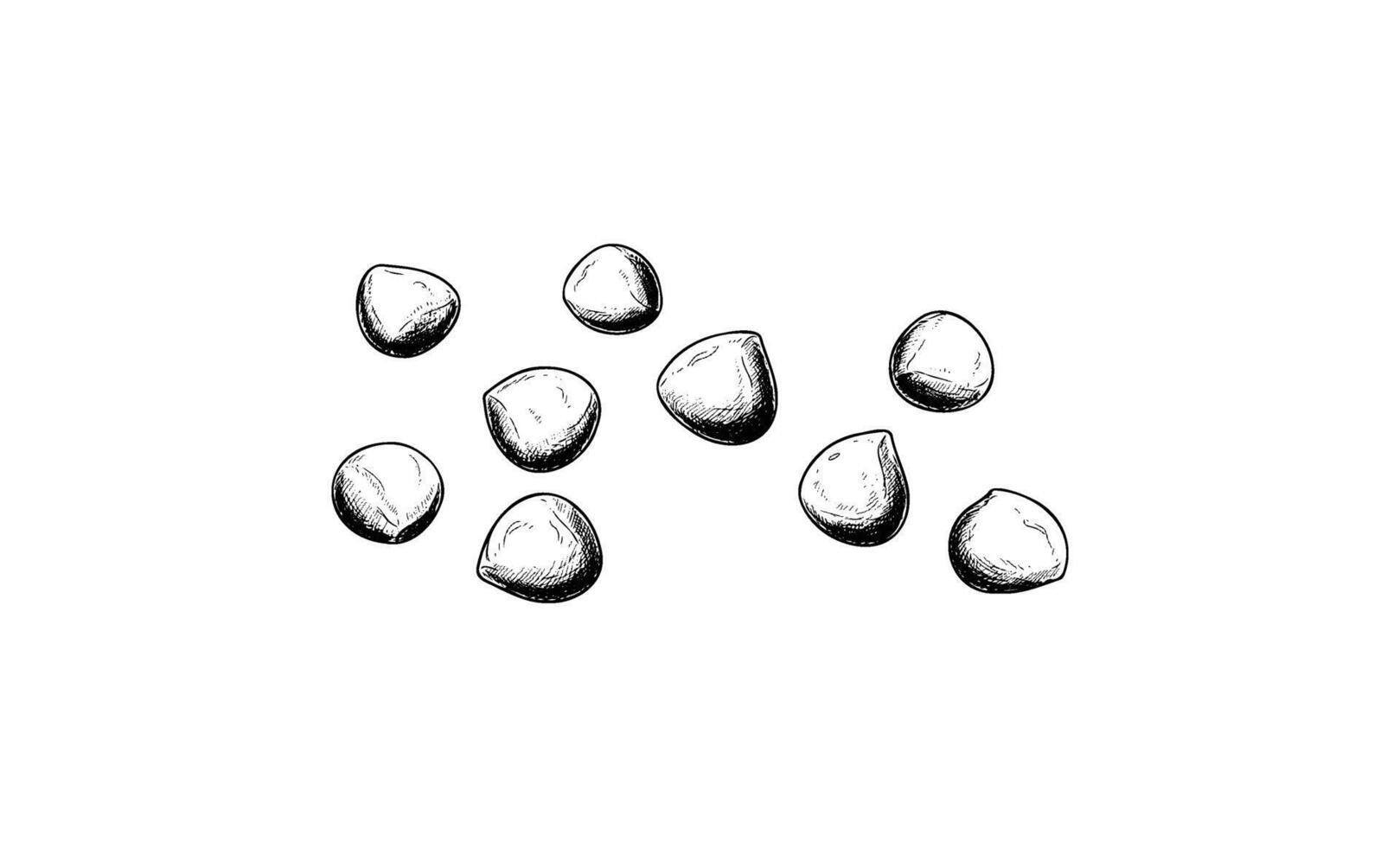 Hand drawnsketch of mixed nuts on white background vector