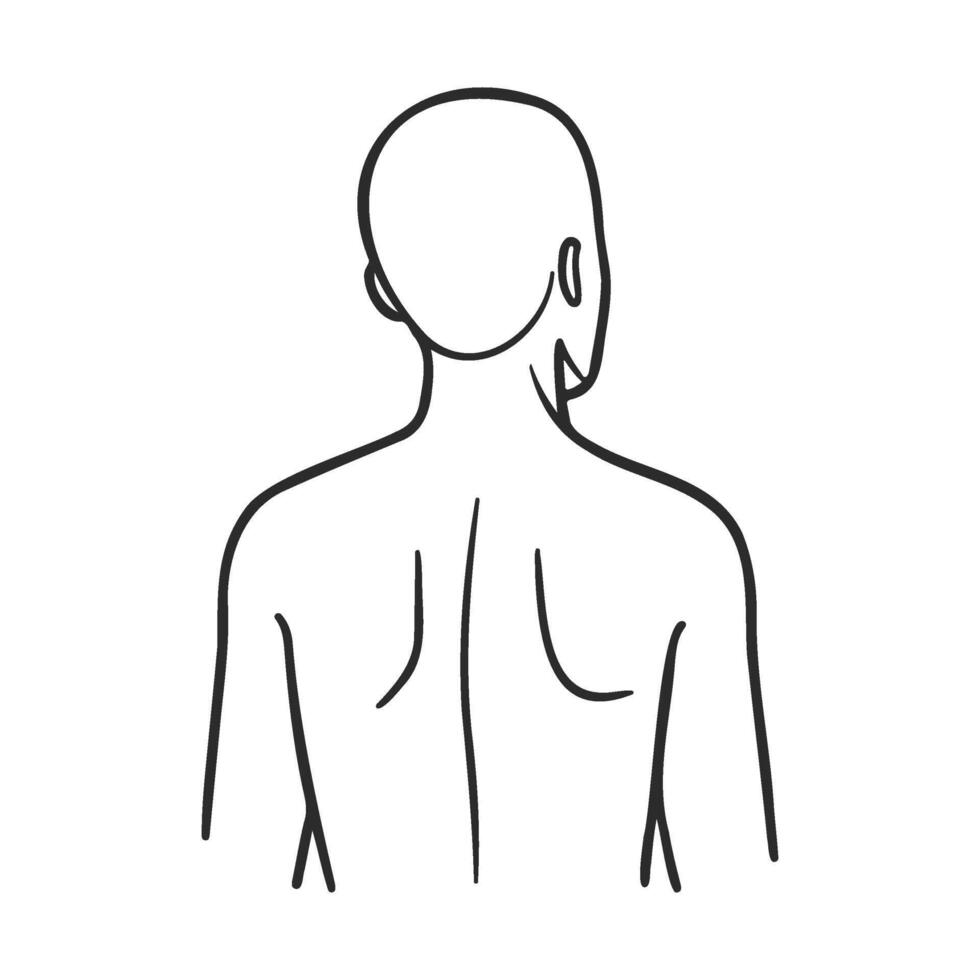 Line art of a female upper body viewed from behind vector