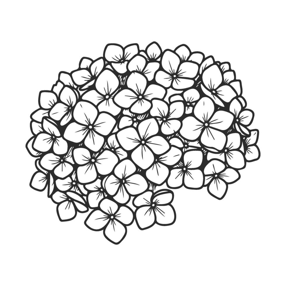Intricate black and white floral brain illustration with botanical design vector