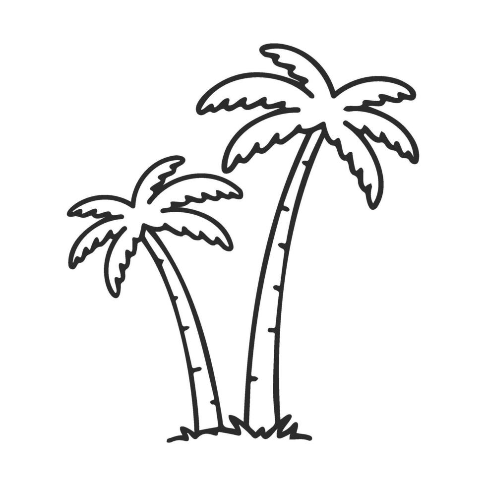 Outline drawing of two tall palm trees on white background vector