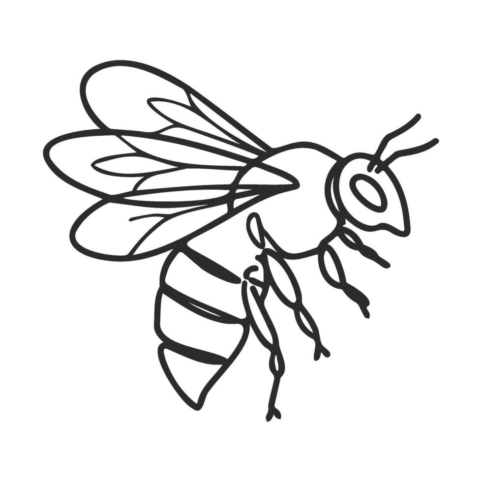 Simple black and white bee drawing outline of insect vector