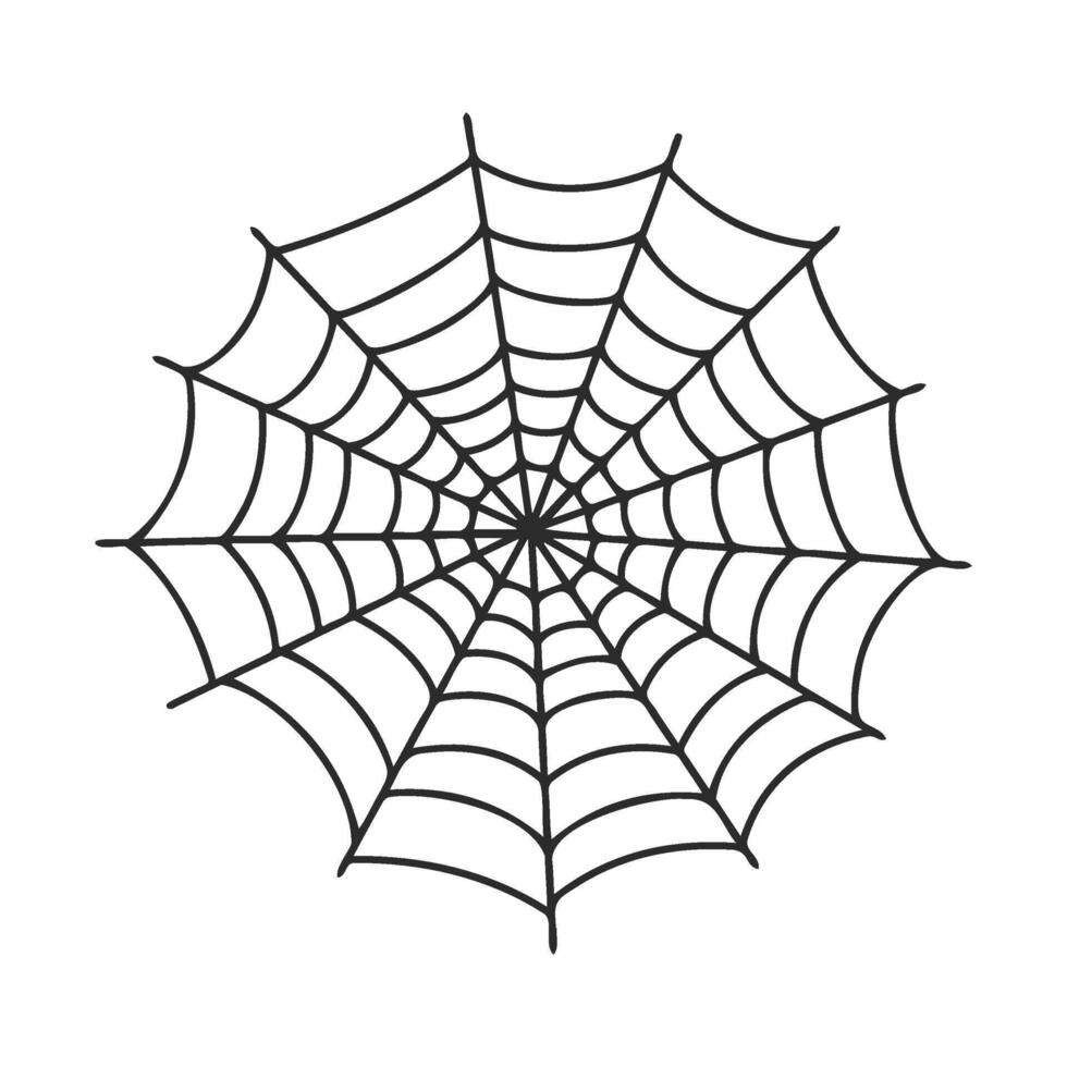 Intricate spider web design on white background vector