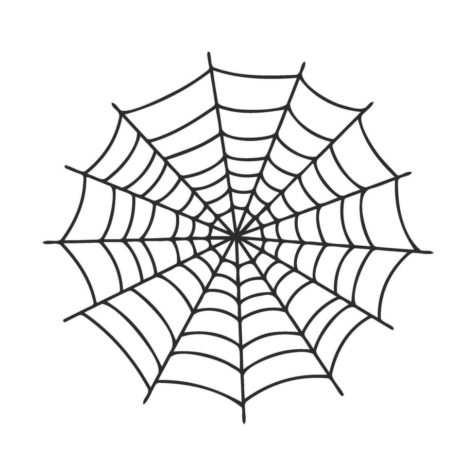 Intricate symmetrical spider web on white background vector