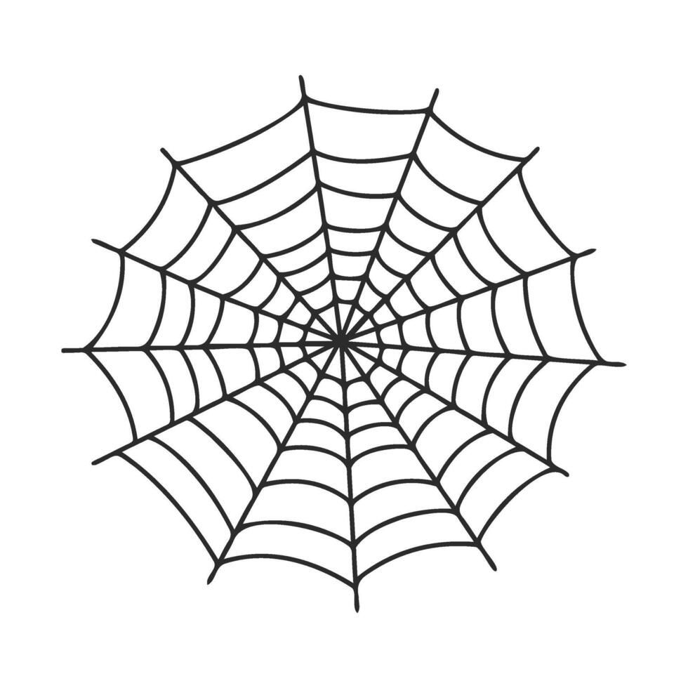 Intricate black spider web on white background illustrating nature's design vector