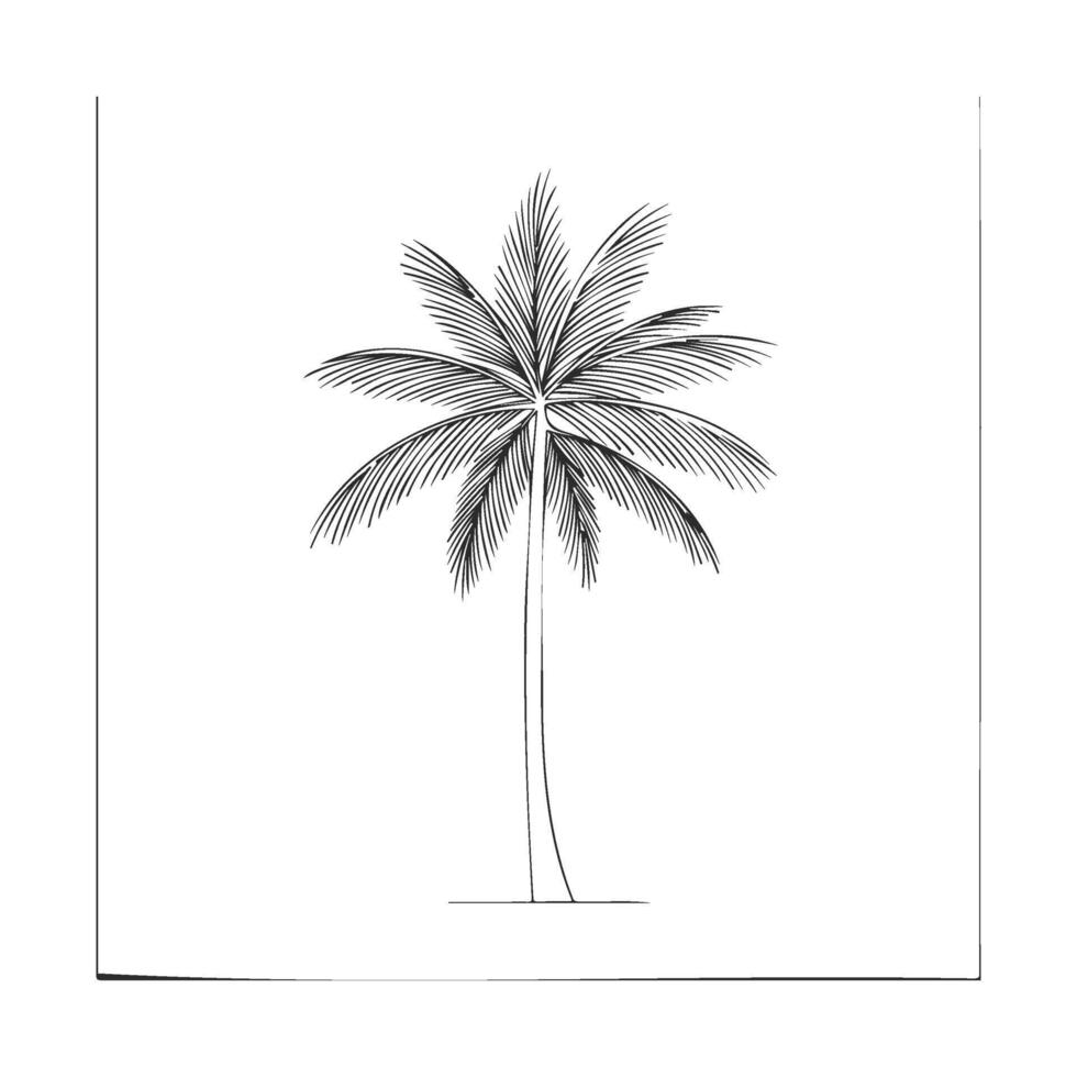 Minimalist black and white palm tree drawing on white background vector
