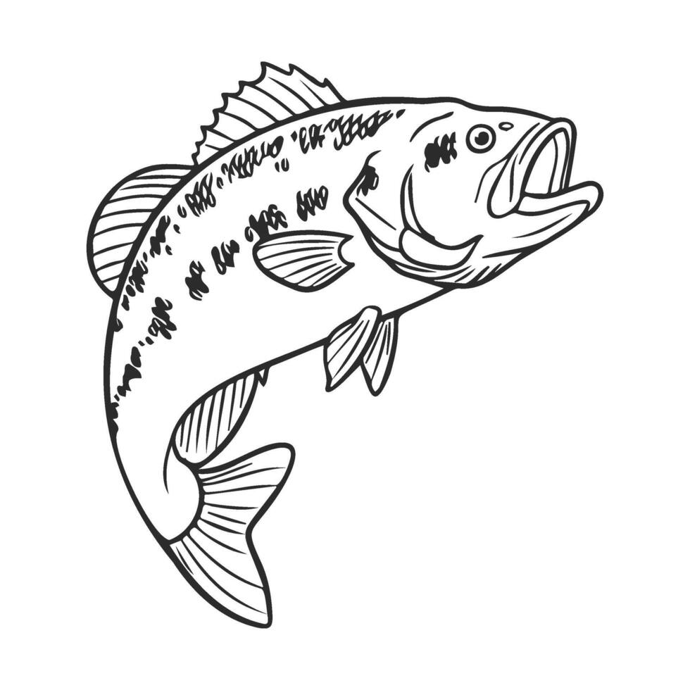 of jumping largemouth bass fish in black and white line art style vector