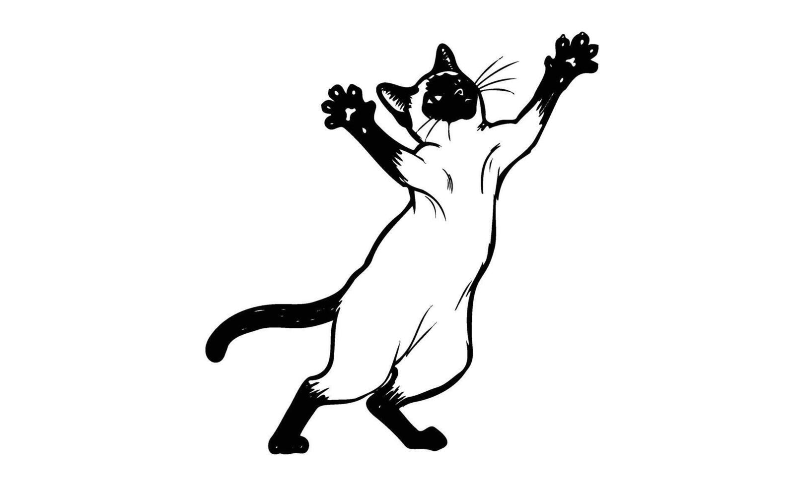 Playful siamese cat stretching with paws up in black and white illustration vector
