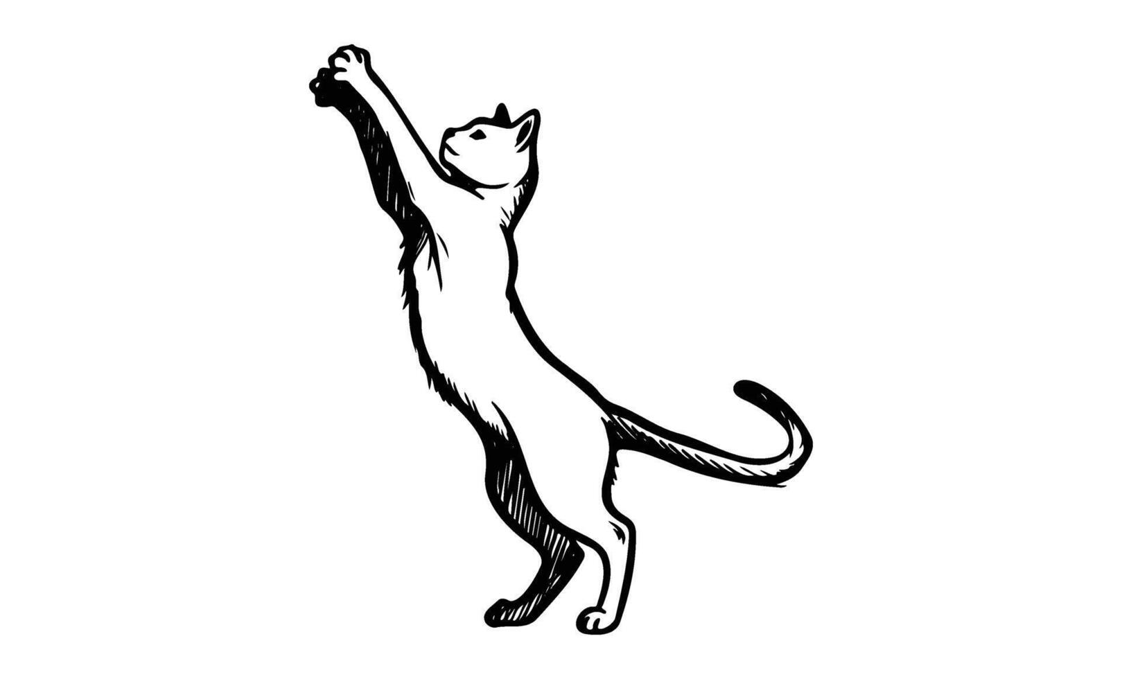 Sketch of a stretching cat in black and white line art style vector