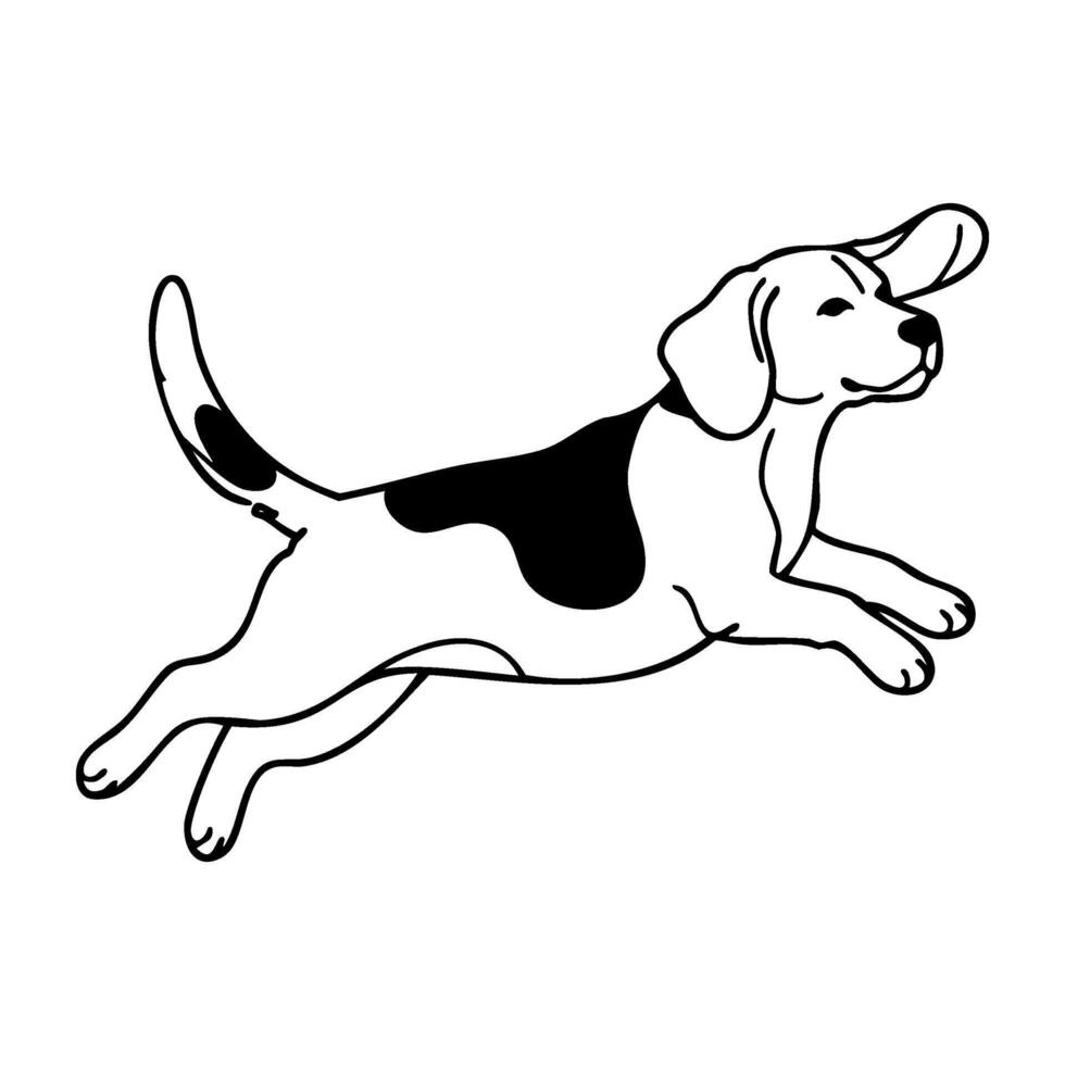 Outline drawing of a beagle leaping with energetic movement vector