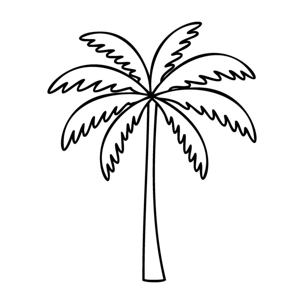 Simple line drawing of a tall palm tree vector