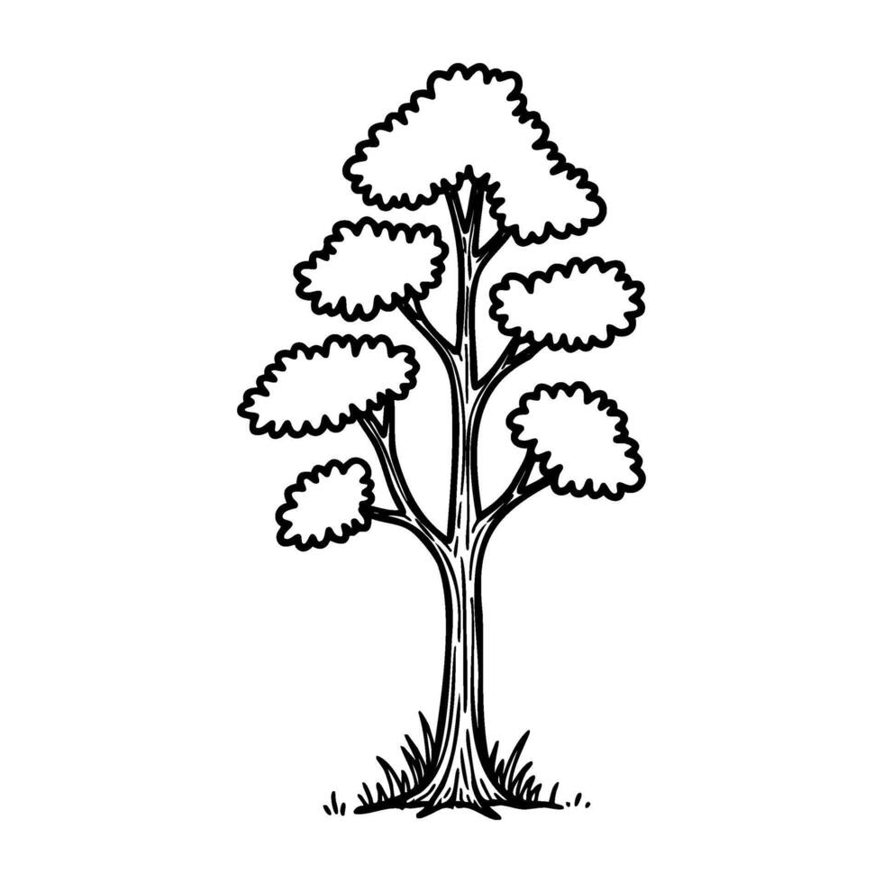 Line art drawing of a tall leafy tree with grass vector