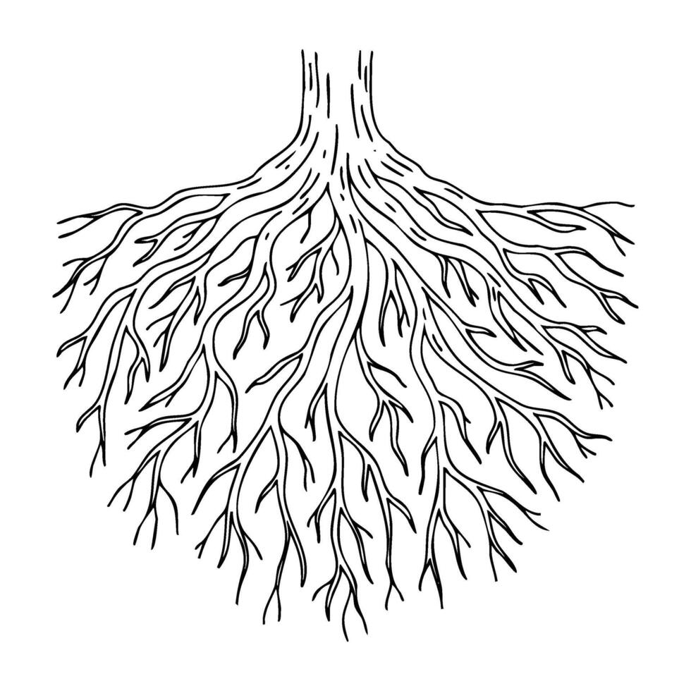 Intricate tree roots pattern with branching design vector