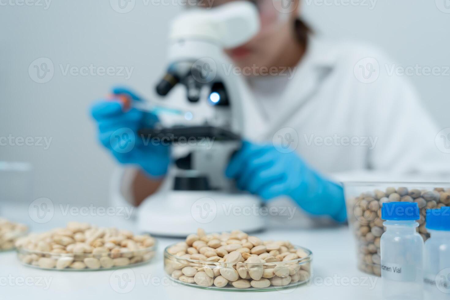 Scientist check chemical whole grains residues in laboratory. Control experts inspect the concentration of chemical residues. hazards, standard, prohibited substances,, contaminate, Microbiologist photo