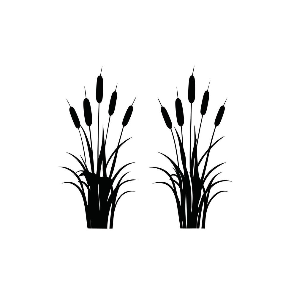 Two silhouetted cattail plants on a white background vector