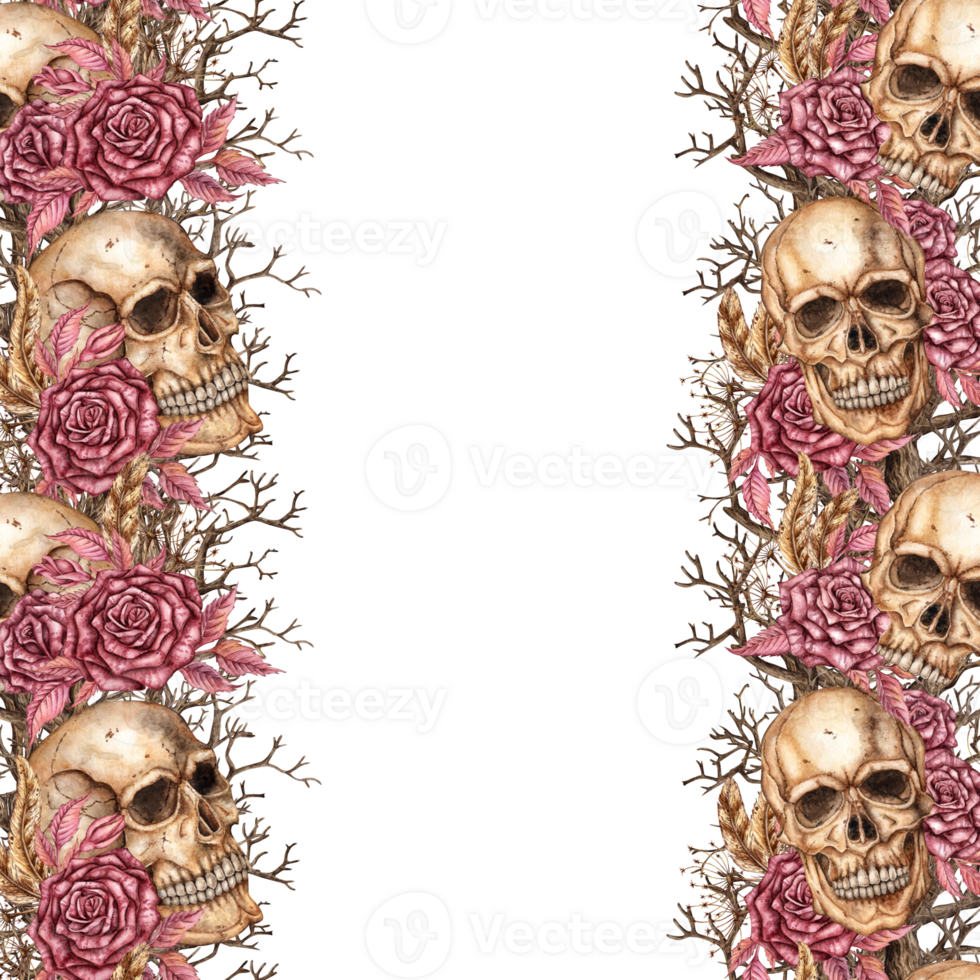 Frame of skulls, dry branches, burgundy roses and brown feathers square with side edges. Watercolor illustration in gothic style hand-drawn. Isolated from background. png