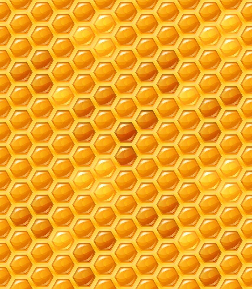 Yellow and orange seamless pattern bee honeycomb. Honey hexagonal background vector