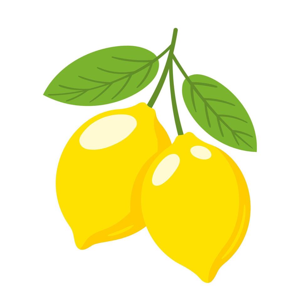 Lemon isolated on white background. Flat style illustration vector