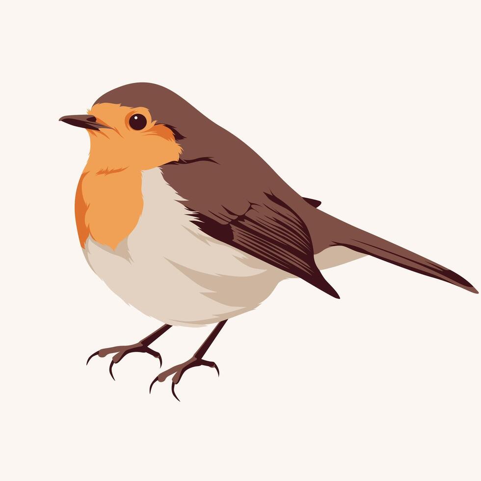 A collection of eight illustrations depicting European robins in various poses, including perched on branches, flying, nesting, and holding nesting material. vector