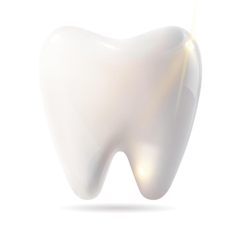 A white tooth casting a subtle shadow on a pristine white background vector