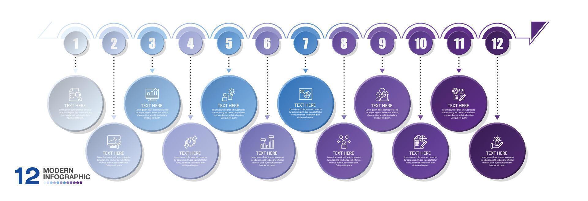 Basic infographic template with 12 steps process or options. Business icons. vector