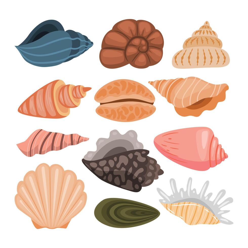 Set of Seashell or Sea Shell Isolated Element Objects. Beach Aquatic Marine Ocean Animal Shellfish. Flat Style Icon Illustration vector
