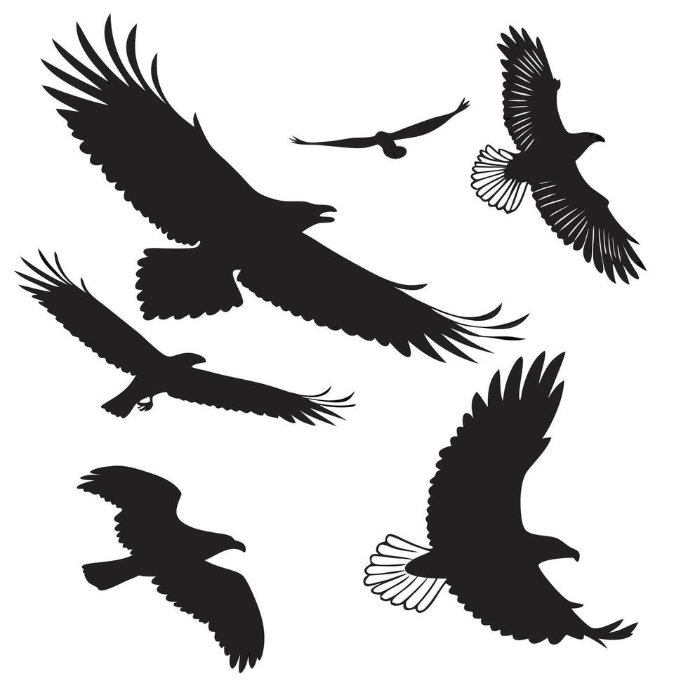 A comprehensive collection of detailed bird silhouettes showcasing a variety of avian species in a clean vecto format suitable for diverse design applications vector