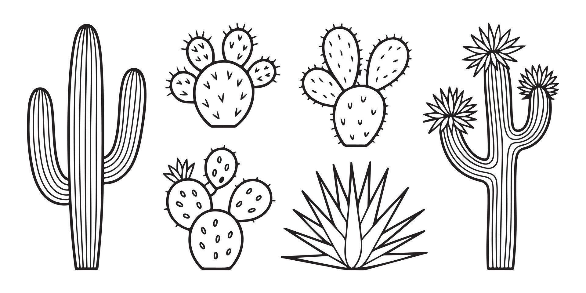 Collection of Black and White Line Drawings of Desert Cacti and Succulents Including Saguaro Cactus Prickly Pear Cactus and Agave vector