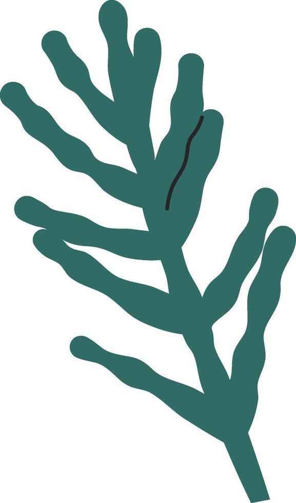 Conifer Tree Branch Flat Illustration vector