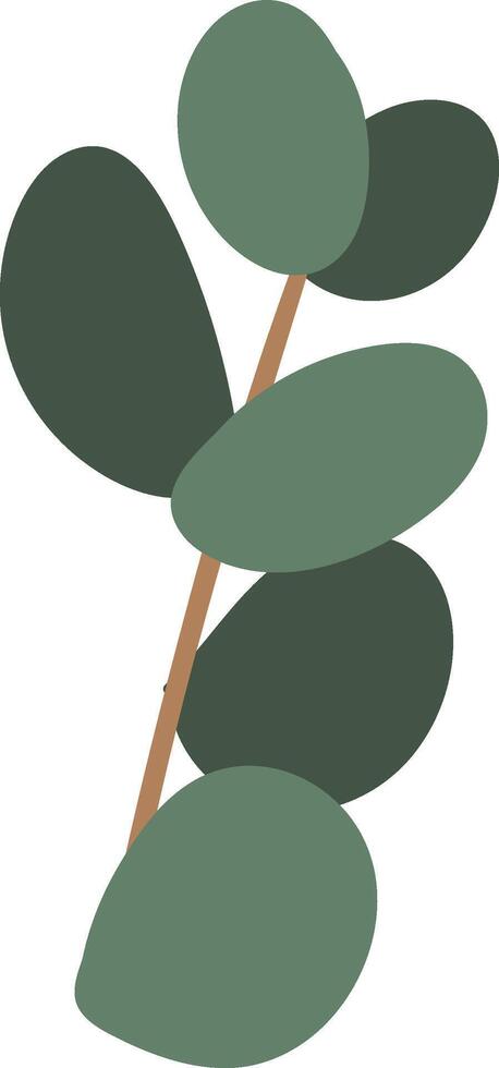 Hand Drawn Icon Eucalyptus Herbal Branch vector