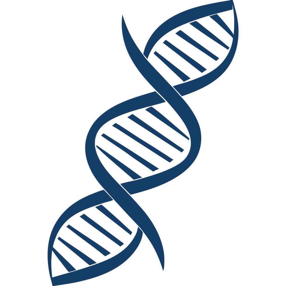 Blue dna double helix tilted isolated on white background vector