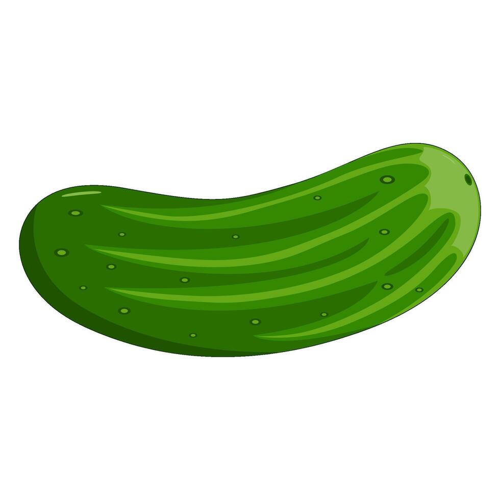 Cartoon illustration of a fresh green cucumber or gherkin vegetable vector