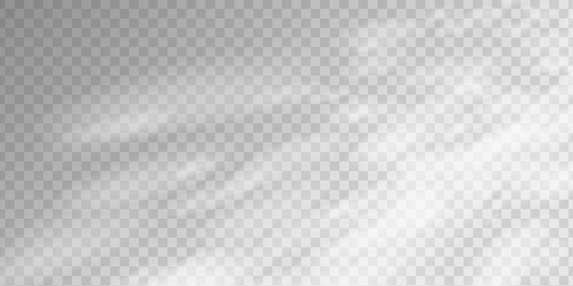 Sunlight shadow casting through window on studio wall. Abstract tree silhouettes with grey blur and warm gradient. Perfect for interior backgrounds or minimalist product scenes. vector