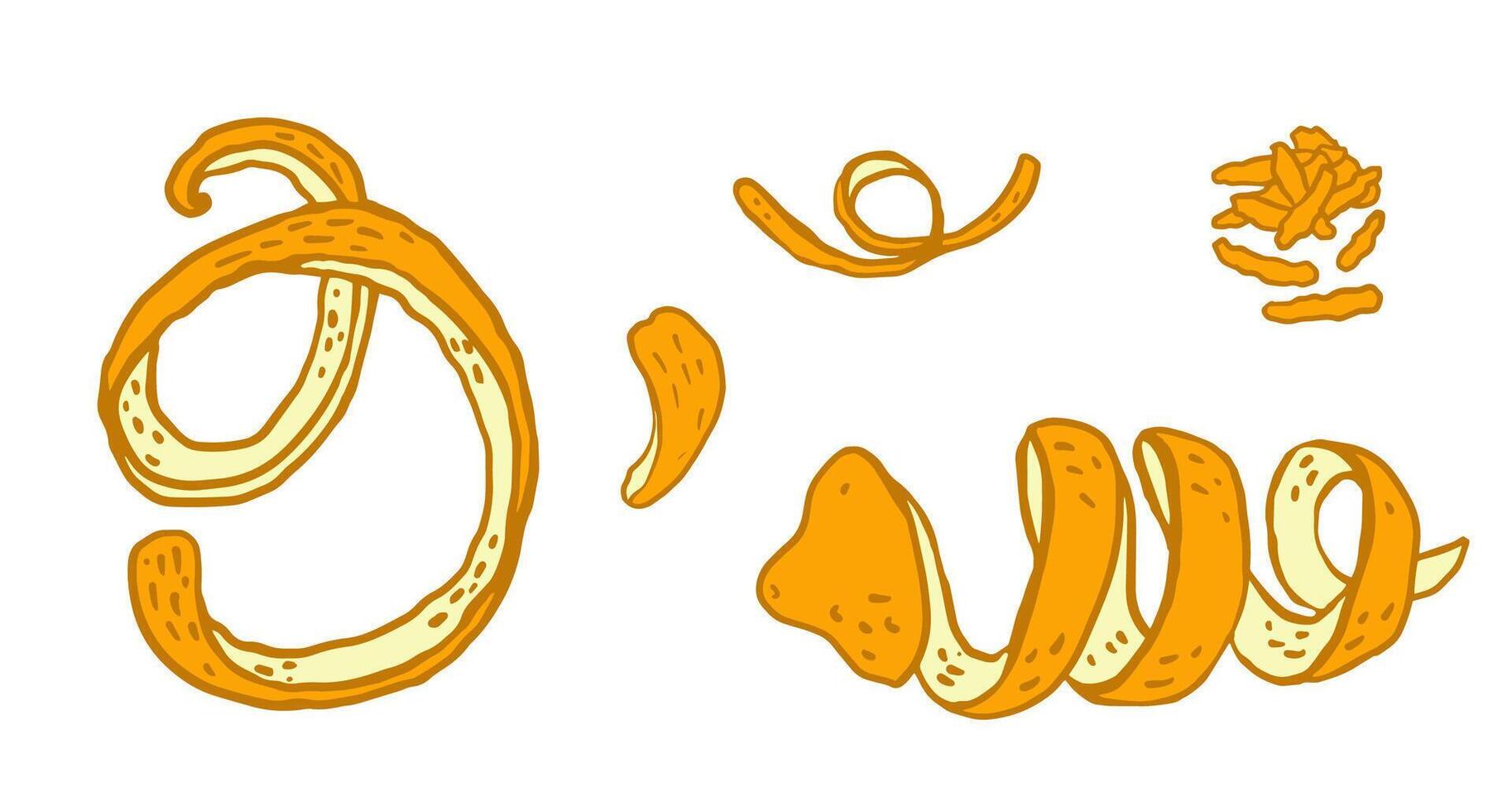 Set lemon zest cut in different ways. Hand drawn outline illustration ribbon of zest , cut into small stripes, grater for refreshing flavor of organic drinks, food. Menu design, bar cards vector
