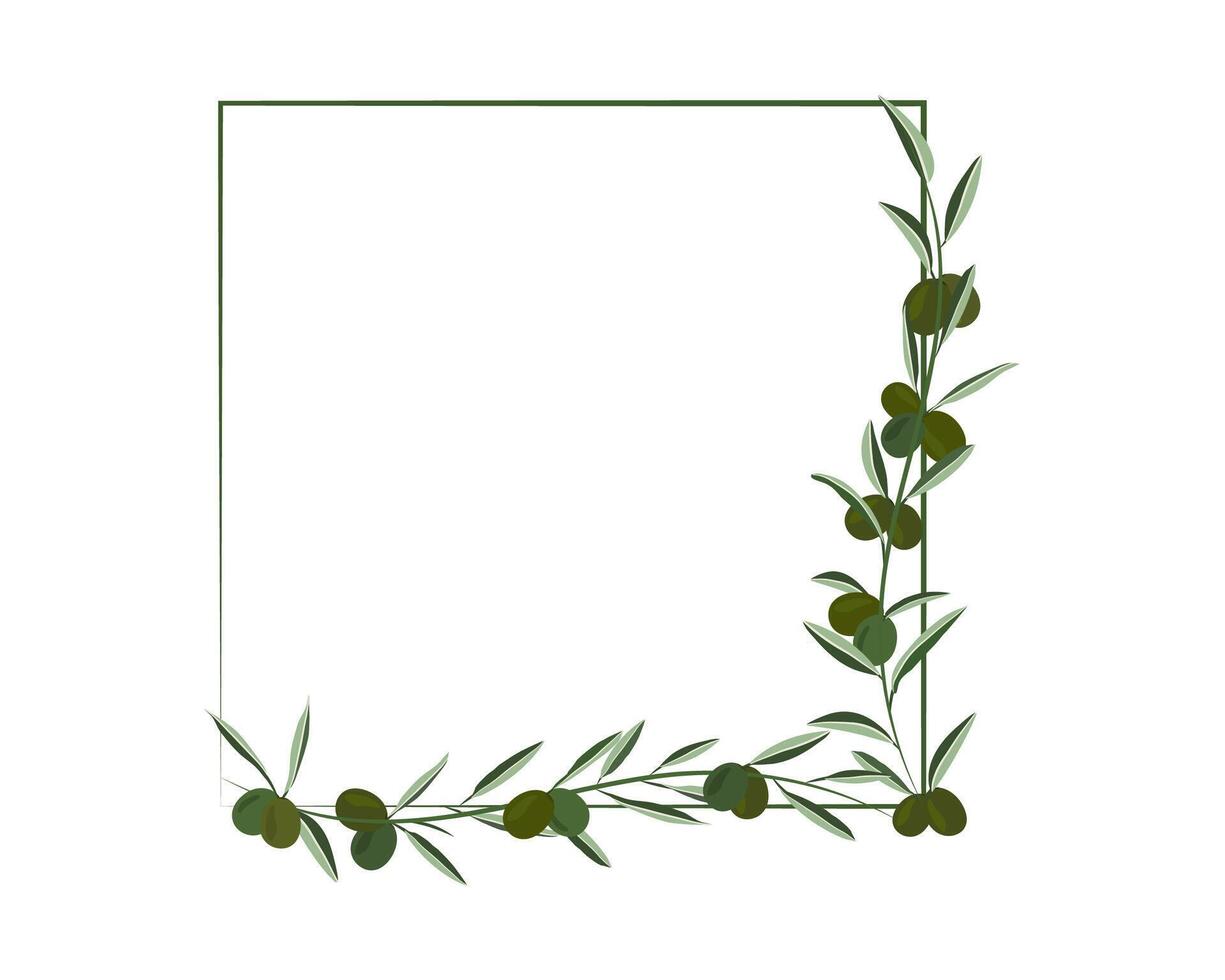 creeping green olive creeping on square shape frame background vector