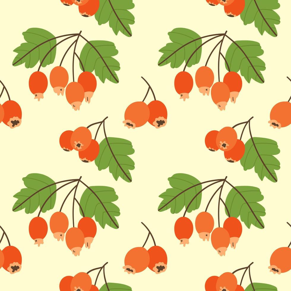 Seamless pattern with hawthorn berries on a light background vector