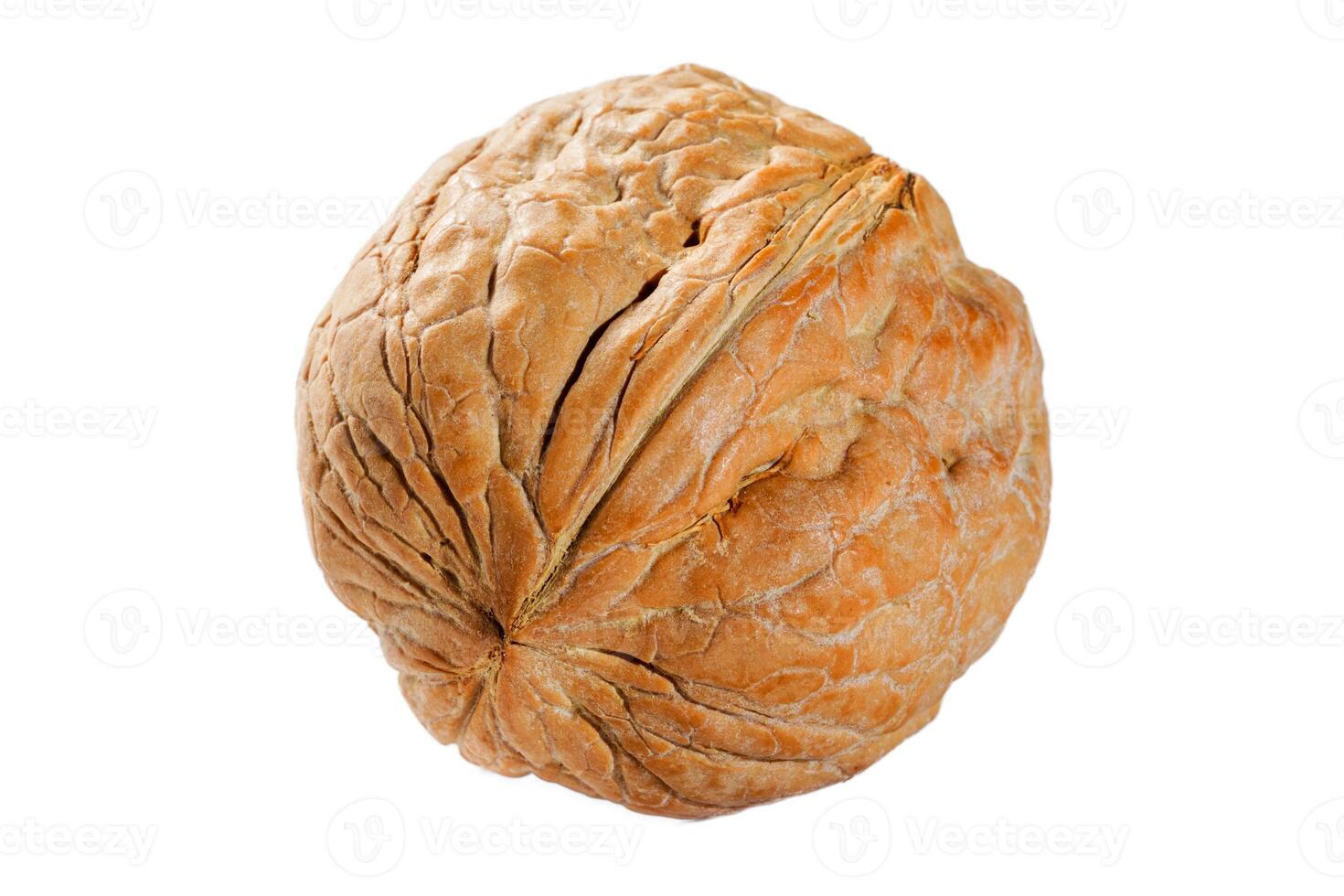 A close-up studio shot of a single walnut against a seamless white background. The image captures the unique details of the shell, ideal for healthy eating themes and culinary uses. photo