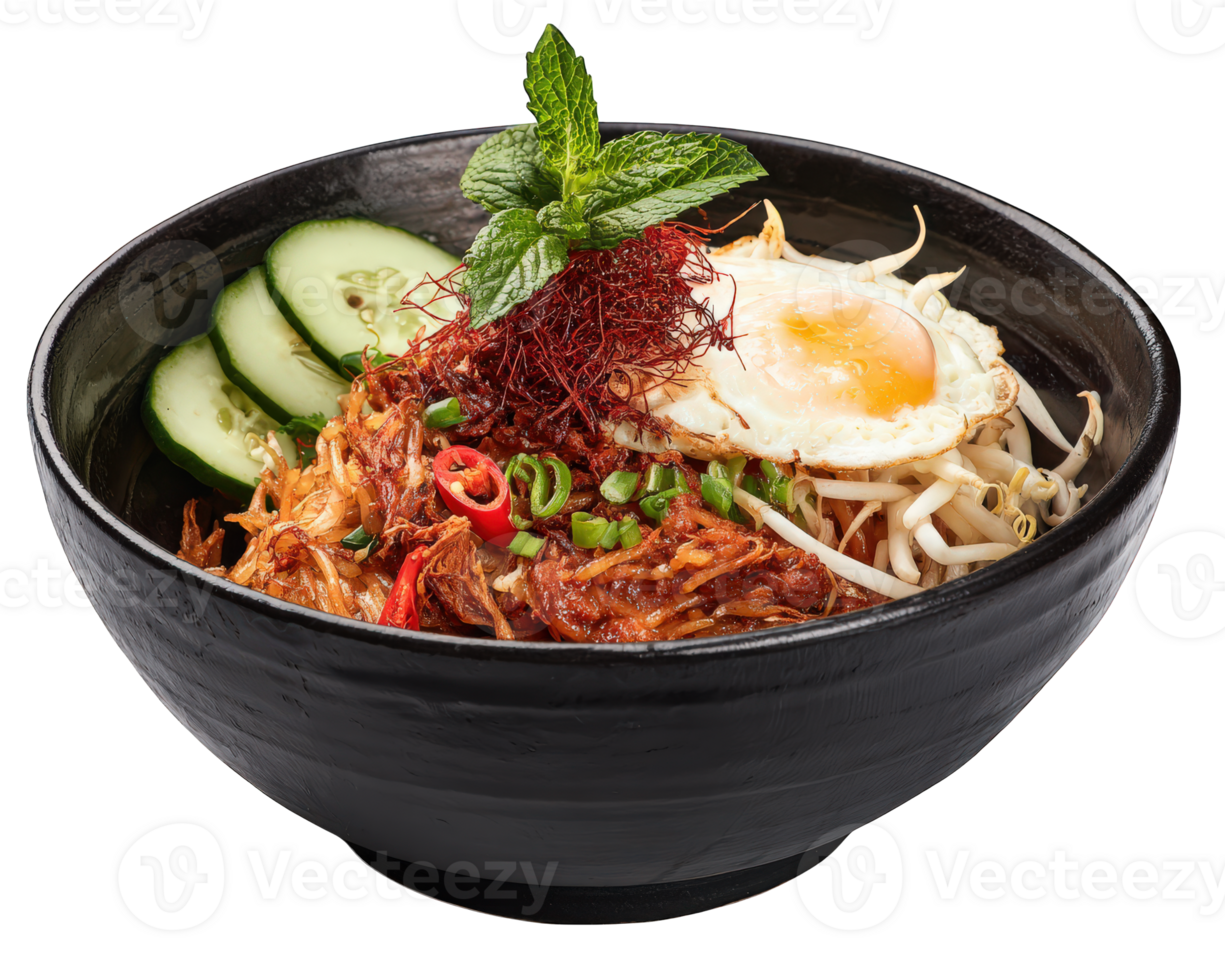 Indonesian nasi goreng with fried egg shredded chicken cucumber bean sprout chili green onion and mint garnish in black bowl vibrant and appetizing presentation png