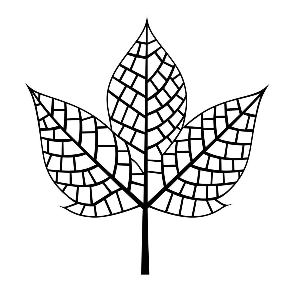 Intricate leaf design with geometric patterns vector