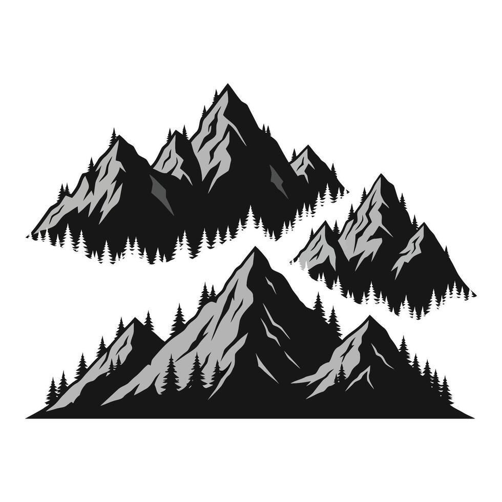 Art of collection of various bicycle types and styles isolated on white background vector