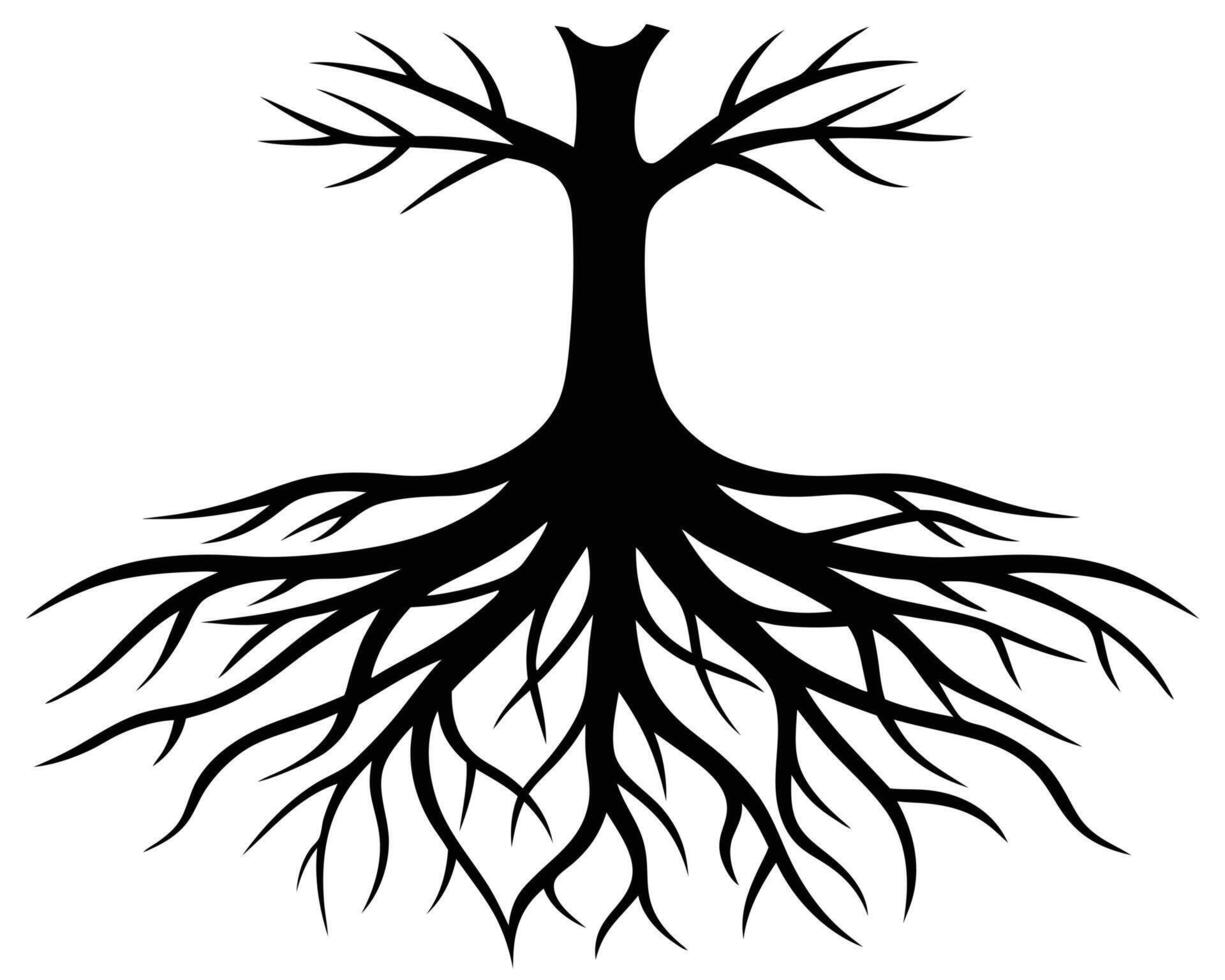 Majestic Silhouette of a Barren Tree with Extensive Roots Against a White Background, Evoking a Sense of Mystery and Resilience vector