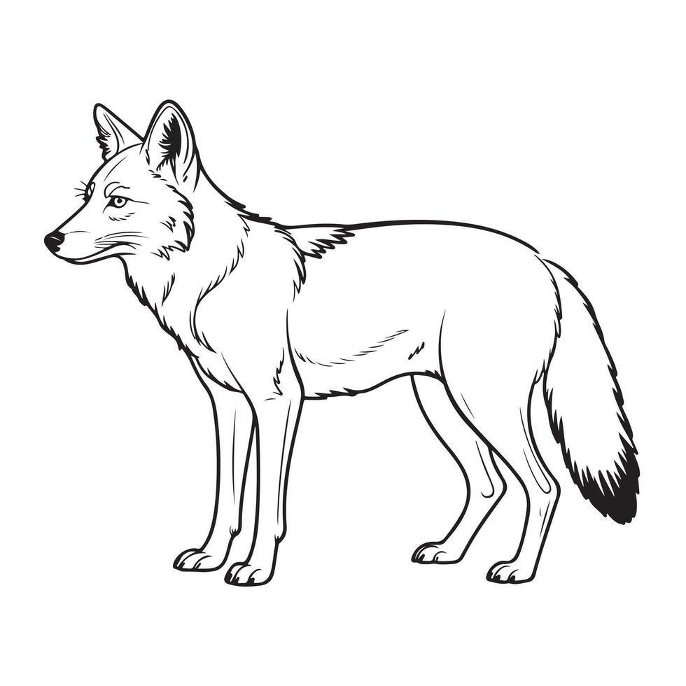 A black and white drawing of a fox vector